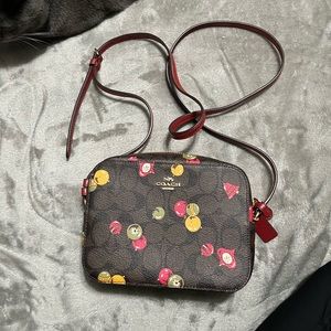 Mini Camera Bag In Signature Canvas With Ornament Print